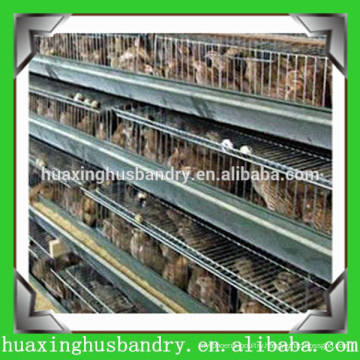 plastic poultry transport cage